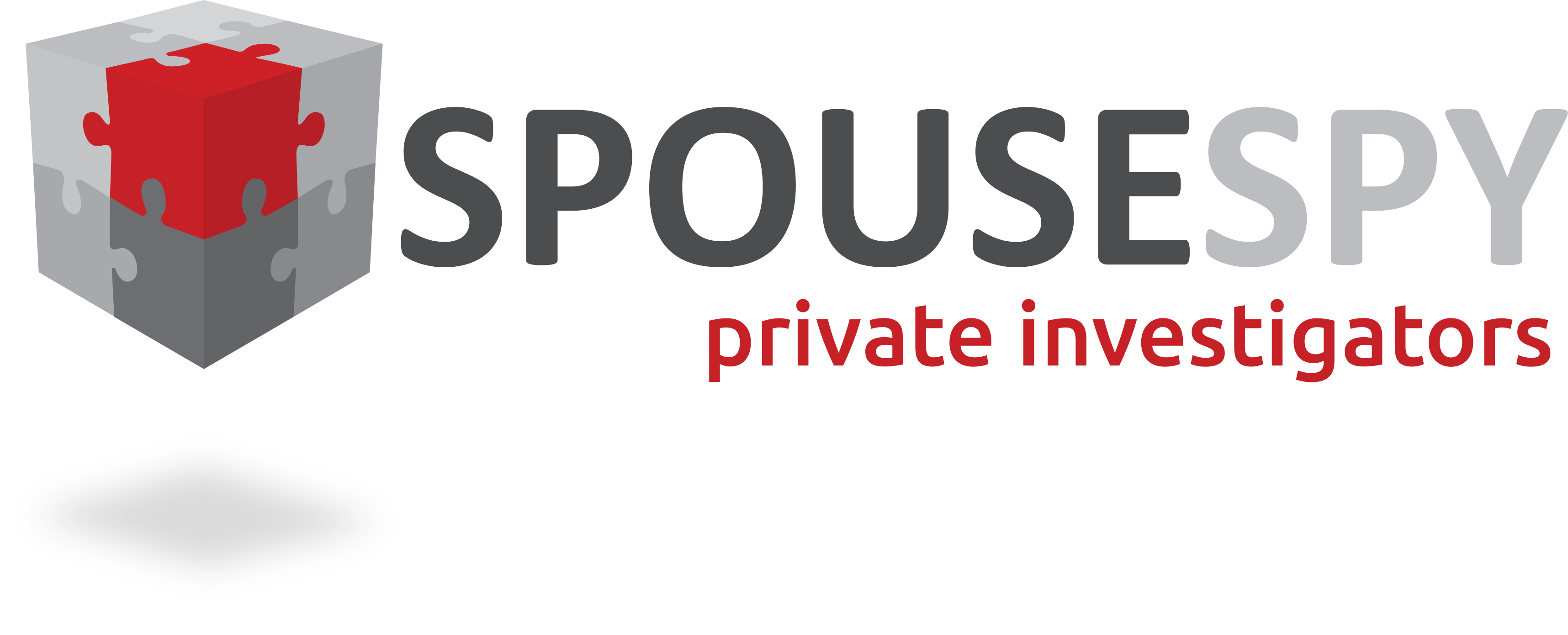 types-of-cases-a-pi-might-handle-spouse-spy-private-investigators
